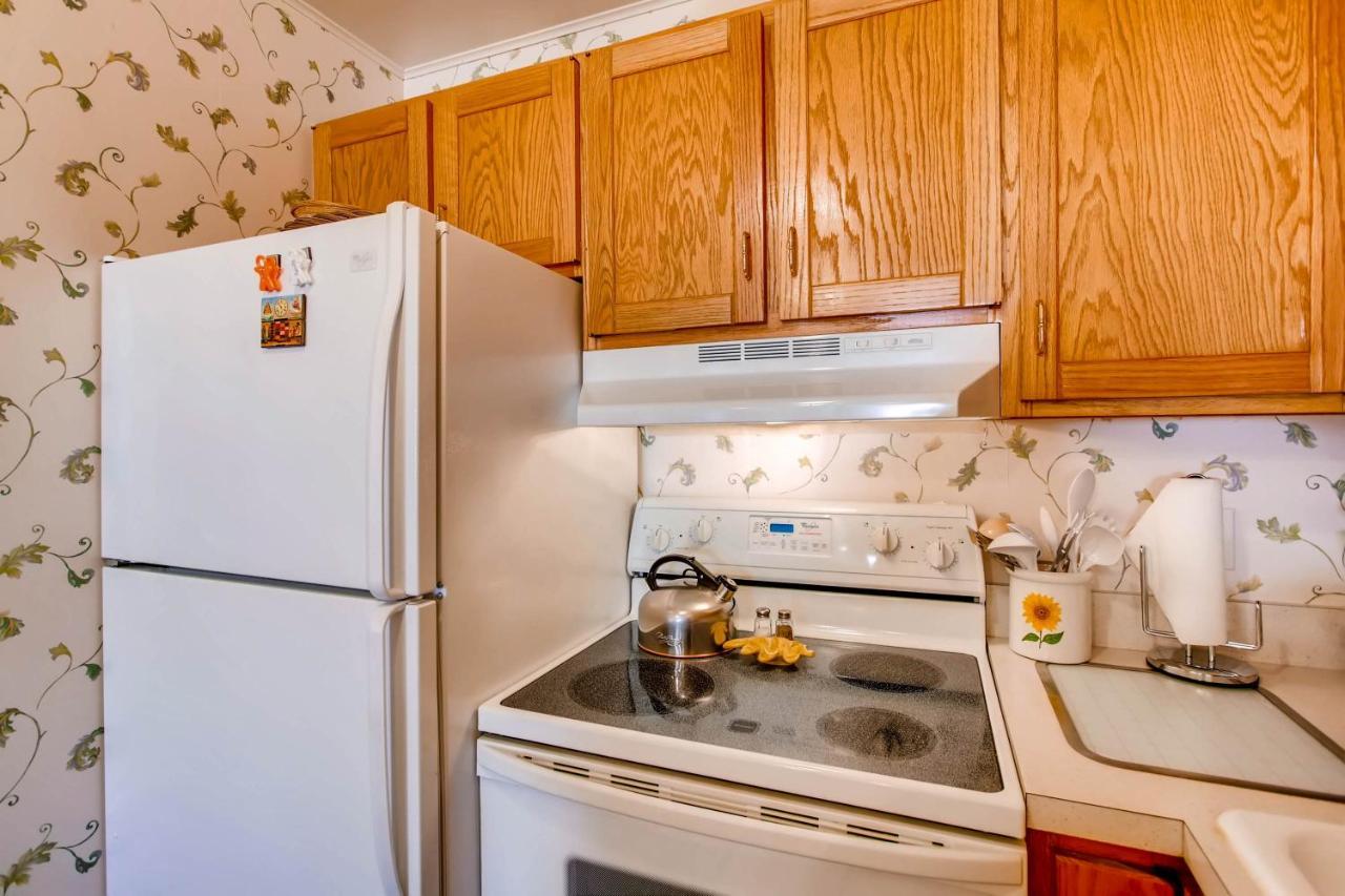 Ski-In Ski-Out Studio Private Balcony & Fireplace Condo クレスティド・ビュート エクステリア 写真